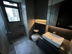 Irwell Hill Residences (D9), Apartment #445806491